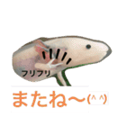 ウパ子の日常スタンプ編（個別スタンプ：8）
