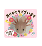 ウパ子の日常スタンプ編（個別スタンプ：9）