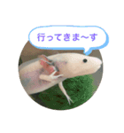 ウパ子の日常スタンプ編（個別スタンプ：14）