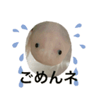 ウパ子の日常スタンプ編（個別スタンプ：15）