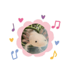 ウパ子の日常スタンプ編（個別スタンプ：16）