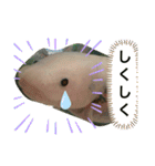 ウパ子の日常スタンプ編（個別スタンプ：18）