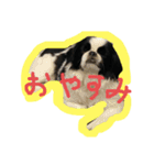 ぷーそーく（個別スタンプ：3）