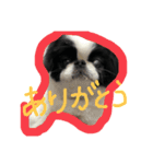 ぷーそーく（個別スタンプ：4）