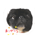 もこ蔵andうに丸（個別スタンプ：2）