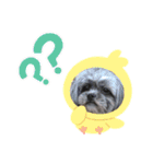 もこ蔵andうに丸（個別スタンプ：4）