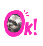 もこ蔵andうに丸（個別スタンプ：5）