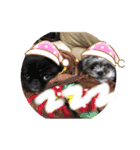 もこ蔵andうに丸（個別スタンプ：7）