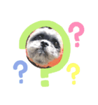 もこ蔵andうに丸（個別スタンプ：14）