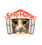 せつ子の休日（個別スタンプ：2）