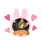 せつ子の休日（個別スタンプ：16）