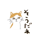 メロディキャット挨拶スタンプ（個別スタンプ：1）