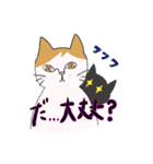 メロディキャット挨拶スタンプ（個別スタンプ：6）