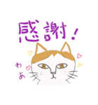 メロディキャット挨拶スタンプ（個別スタンプ：7）
