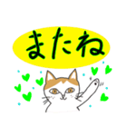 メロディキャット挨拶スタンプ（個別スタンプ：16）