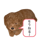 カフェとモカ その1（個別スタンプ：4）