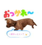 カフェとモカ その1（個別スタンプ：8）