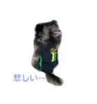 ミロスタンプ1（個別スタンプ：6）