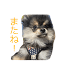 ミロスタンプ1（個別スタンプ：8）