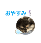 ミロスタンプ②（個別スタンプ：4）
