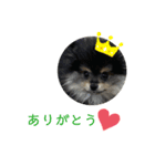 ミロスタンプ②（個別スタンプ：7）