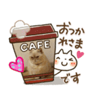 マンチカンのけまりちゃん3（個別スタンプ：1）