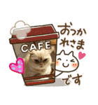 マンチカンのけまりちゃん3（個別スタンプ：2）