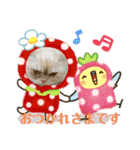 マンチカンのけまりちゃん3（個別スタンプ：4）