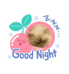 マンチカンのけまりちゃん3（個別スタンプ：14）