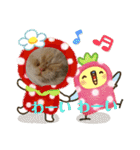 マンチカンのけまりちゃん3（個別スタンプ：27）