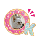 マンチカンのけまりちゃん3（個別スタンプ：33）