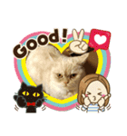 マンチカンのけまりちゃん3（個別スタンプ：34）
