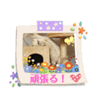 マンチカンのけまりちゃん3（個別スタンプ：38）