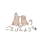 ボーダーコリーのゆる敬語スタンプ（個別スタンプ：2）