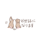 ボーダーコリーのゆる敬語スタンプ（個別スタンプ：5）