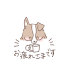 ボーダーコリーのゆる敬語スタンプ（個別スタンプ：6）