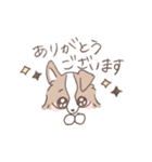 ボーダーコリーのゆる敬語スタンプ（個別スタンプ：7）