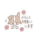 ボーダーコリーのゆる敬語スタンプ（個別スタンプ：9）