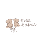 ボーダーコリーのゆる敬語スタンプ（個別スタンプ：11）