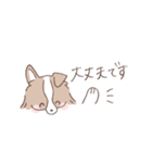ボーダーコリーのゆる敬語スタンプ（個別スタンプ：12）