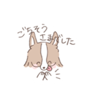ボーダーコリーのゆる敬語スタンプ（個別スタンプ：14）