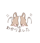 ボーダーコリーのゆる敬語スタンプ（個別スタンプ：16）