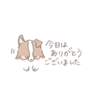 ボーダーコリーのゆる敬語スタンプ（個別スタンプ：21）