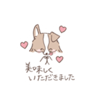 ボーダーコリーのゆる敬語スタンプ（個別スタンプ：22）
