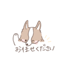 ボーダーコリーのゆる敬語スタンプ（個別スタンプ：23）
