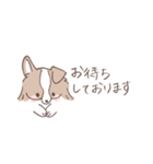 ボーダーコリーのゆる敬語スタンプ（個別スタンプ：24）