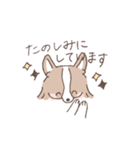 ボーダーコリーのゆる敬語スタンプ（個別スタンプ：25）