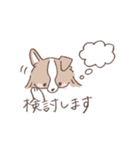 ボーダーコリーのゆる敬語スタンプ（個別スタンプ：26）