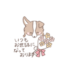 ボーダーコリーのゆる敬語スタンプ（個別スタンプ：34）