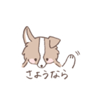 ボーダーコリーのゆる敬語スタンプ（個別スタンプ：36）